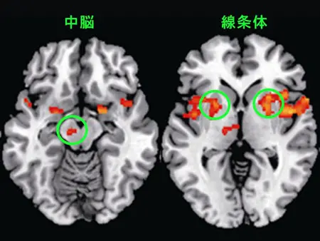 男生挠男生脚心是一种怎样的体验？-男孩挠男孩脚心视频大全
