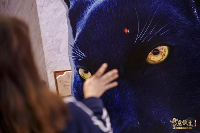 国漫《雪鹰领主》打造沉浸式体验-雪鹰领主2集