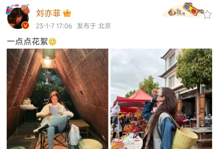 刘亦菲跷二郎腿读剧本，背竹篓逛街，给路人打马赛克真细心-刘亦菲打伞的壁纸