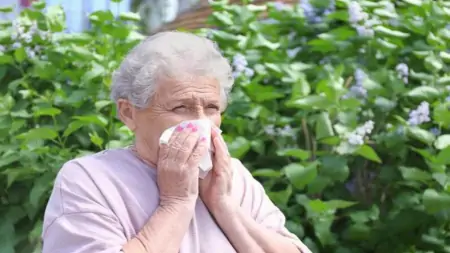 真菌过敏症一般无法痊愈，多和个人体质有关，主要靠药物治疗-真菌过敏症用什么药膏