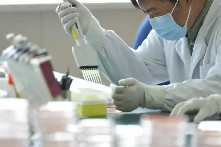 真菌过敏症一般无法痊愈，多和个人体质有关，主要靠药物治疗-真菌过敏症用什么药膏