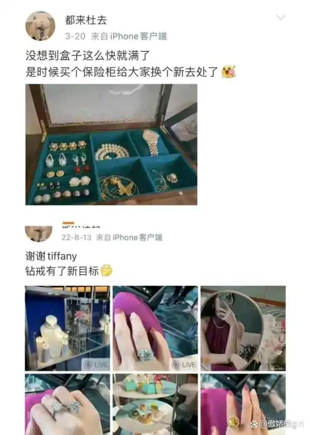 胡继勇和董小姐权与爱的故事大结局来了，董小姐小三名已坐实-胡继良简介