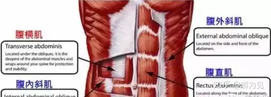 产后应该怎么修复，有哪些内容？-产后修复的最佳方法