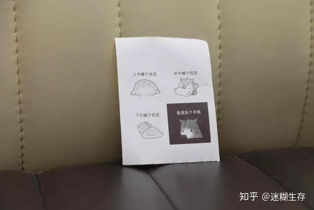 一分钟了解：喵喵机P2！ 众多大学生期待的“宠物”-喵喵机使用步骤