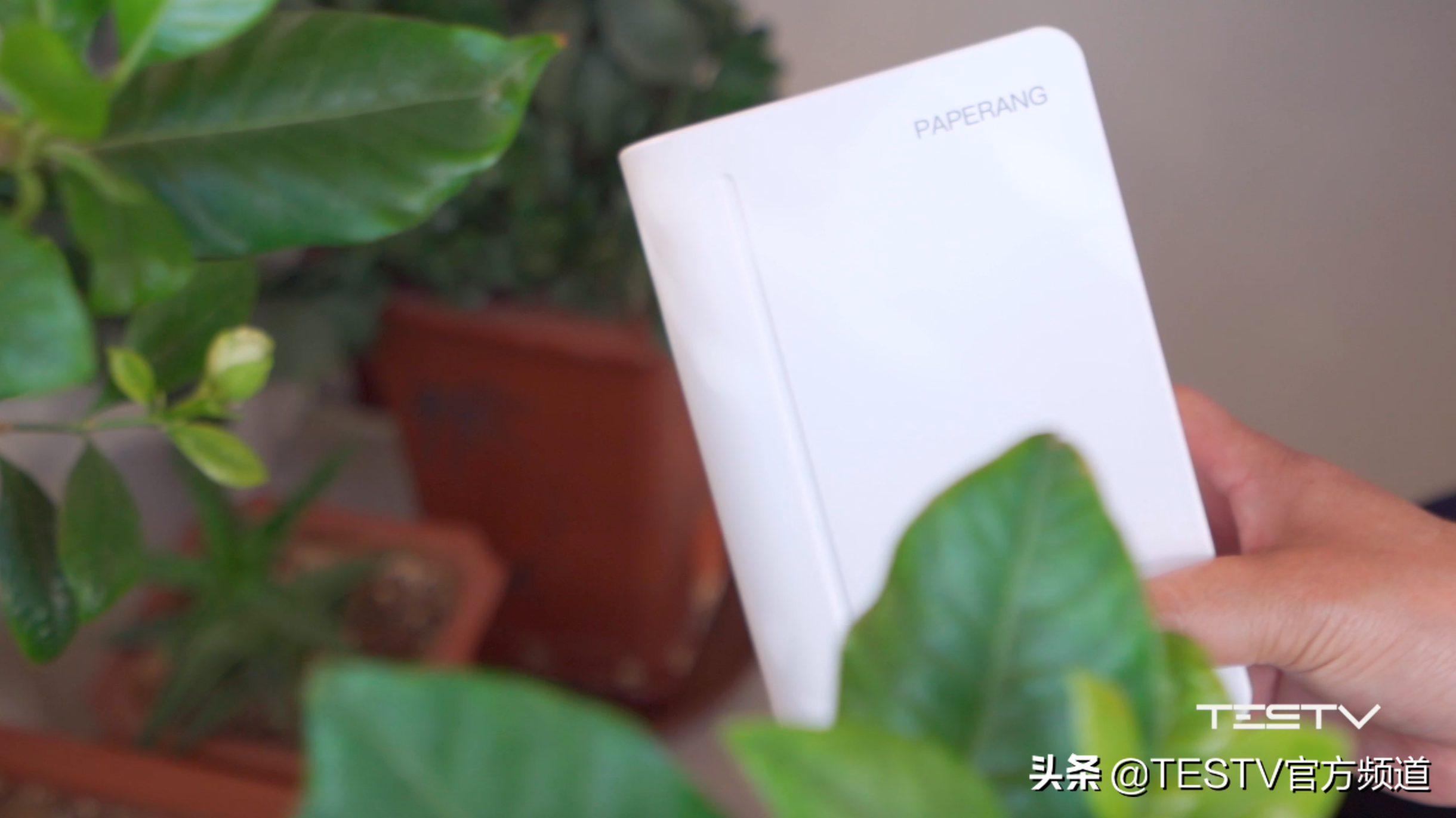 打印机里竟然惊现宝藏？—喵喵机MAX【值不值得买第424期】-喵喵机max打印效果