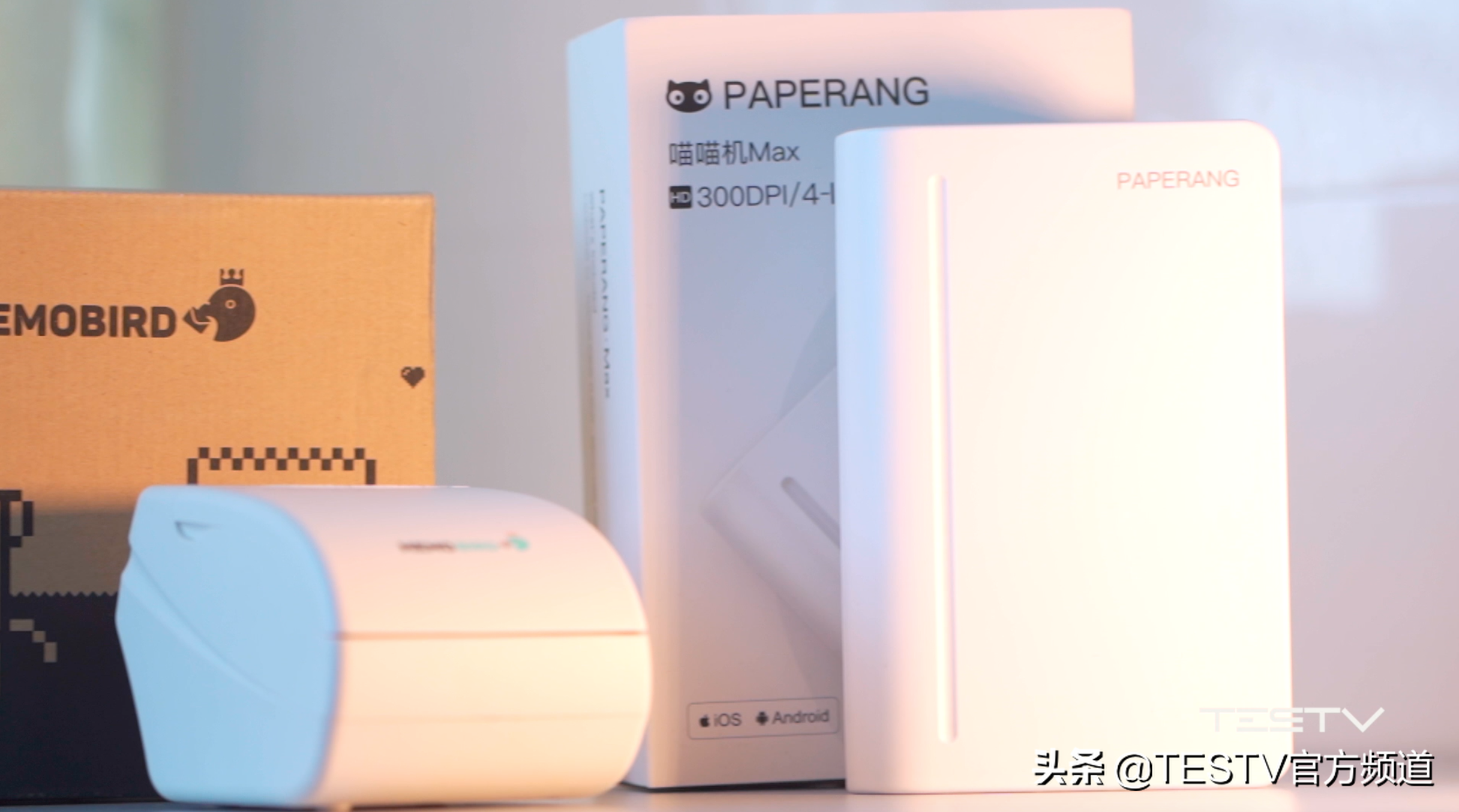 打印机里竟然惊现宝藏？—喵喵机MAX【值不值得买第424期】-喵喵机max打印效果