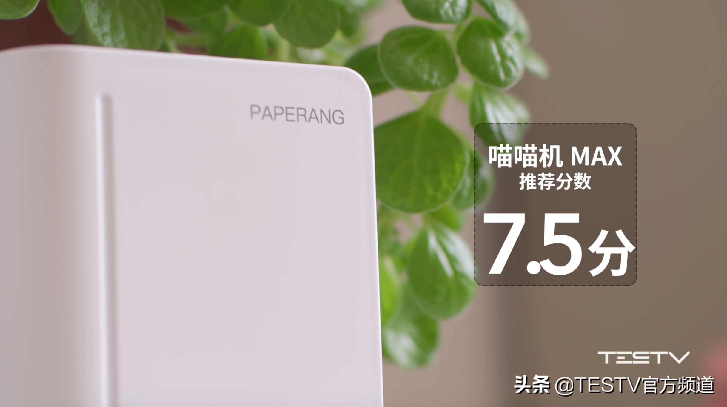 打印机里竟然惊现宝藏？—喵喵机MAX【值不值得买第424期】-喵喵机max打印效果