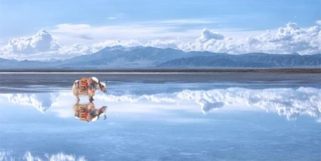 第一次去青海旅游8天大概要多少钱，行程怎么安排，看完就清楚了-去青海六天旅游要花多少钱