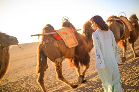 第一次去青海旅游8天大概要多少钱，行程怎么安排，看完就清楚了-去青海六天旅游要花多少钱