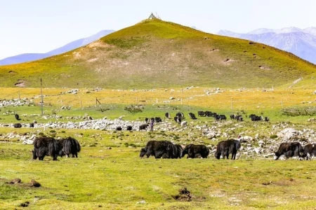 第一次去青海旅游8天大概要多少钱，行程怎么安排，看完就清楚了-去青海六天旅游要花多少钱
