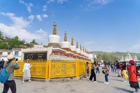 第一次去青海旅游8天大概要多少钱，行程怎么安排，看完就清楚了-去青海六天旅游要花多少钱