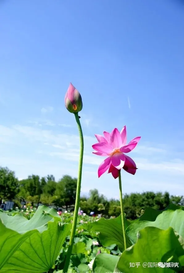 三伏天 五大忌-三伏天三忌