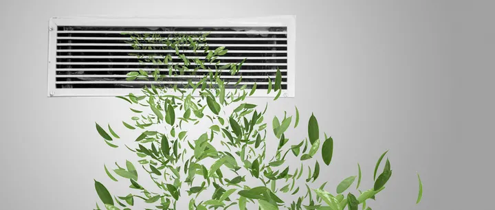 最后一次告诉你：三伏天千万不能做的七件事-三伏天最忌讳的5件事