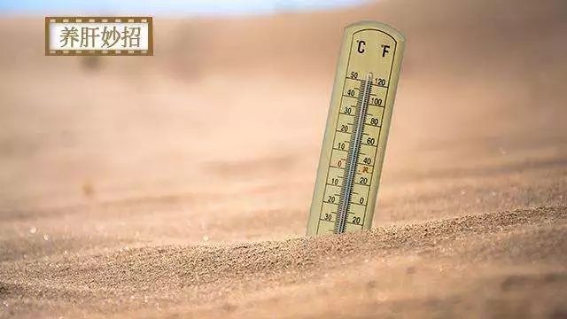 三伏天能不能喝凉水？养生专家：别让5个“伪禁忌”限制你的生活-三伏天不能喝凉水是真的吗