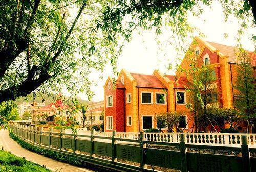 国际象棋甲级豪门换新装 山东外国语国象队亮帜-山东省国际象棋个人锦标赛