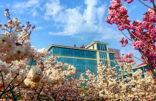 国际象棋甲级豪门换新装 山东外国语国象队亮帜-山东省国际象棋个人锦标赛