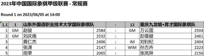 国际象棋甲级豪门换新装 山东外国语国象队亮帜-山东省国际象棋个人锦标赛