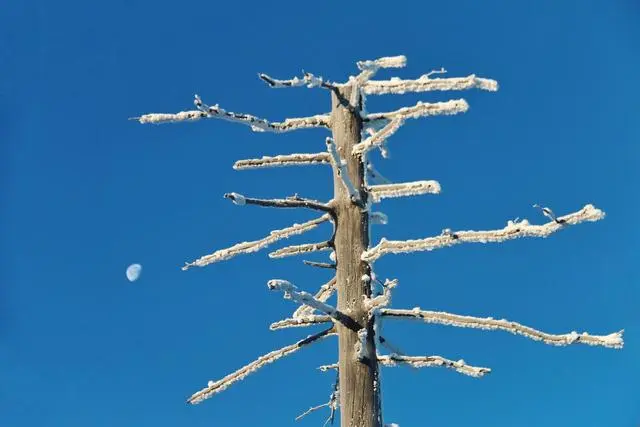 哈爾濱旅遊有哪些攻略？-哈尔滨旅游攻略路线最佳路线