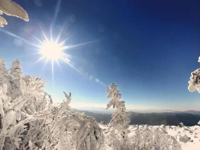 哈爾濱旅遊有哪些攻略？-哈尔滨旅游攻略路线最佳路线