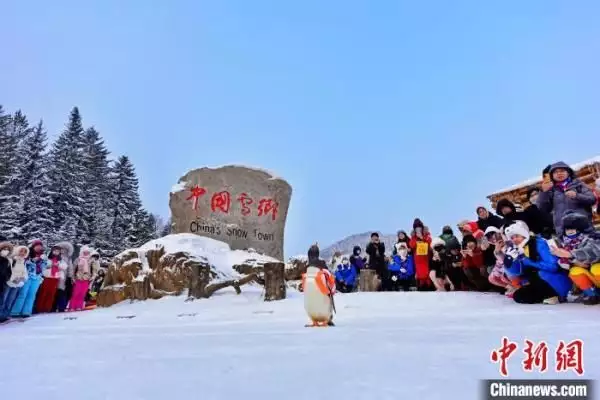 黑龙江哈尔滨：淘学企鹅冰雪大巡游连办80场曝光量破百亿