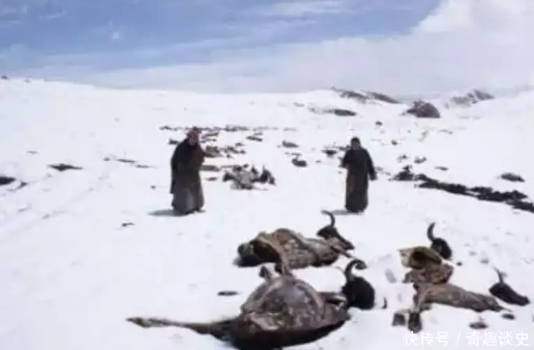 梅里雪山：国家为何禁止攀登？原来，真实的故事比传说更加震撼