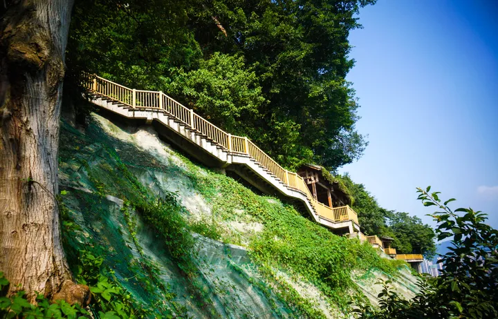 重庆有什么好玩的？-重庆有哪些景点免费