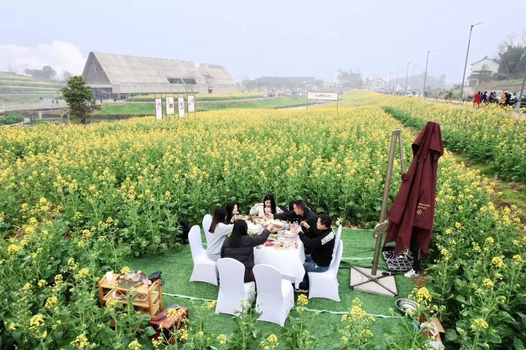 重庆江津：“金色黄庄”菜花旅游文化节拉开帷幕