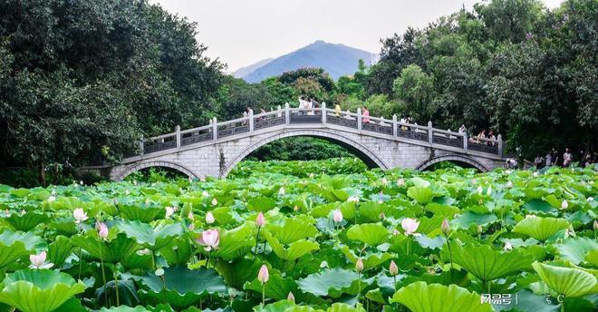 重庆旅游攻略详细安排 5天自由行路线行程-重庆旅游攻略5天自由行攻略