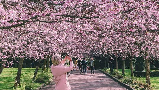 在北欧的哥本哈根不止童话，还有应该知道的旅游攻略。-哥本哈根景色