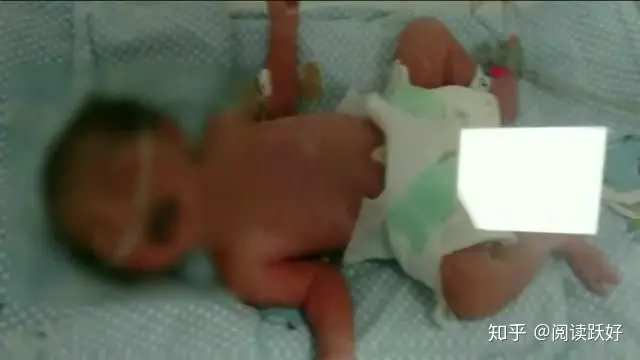 寒冬里的温暖与感动-寒冬里的感动作文600字