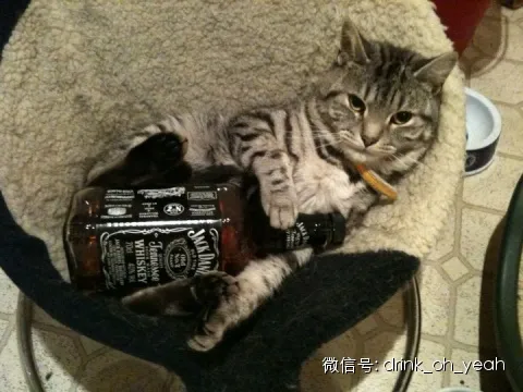 冬天的99种温暖-冬天最暖人心的话