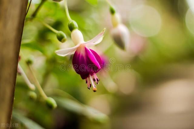 无言，寒冬中的温暖-寒冬里的温暖500字