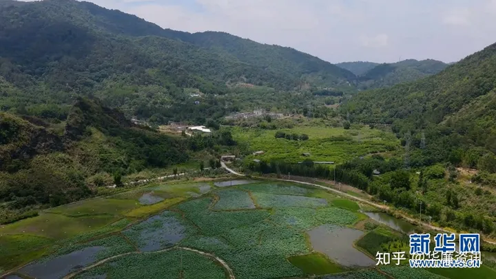 舌尖上的年味：实拍农村晾晒腊味场景壮观-过年晒腊肉