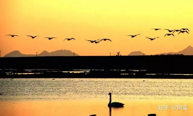 值得反复诵读的千古奇文——《滕王阁序》-滕王阁序朗诵古诗