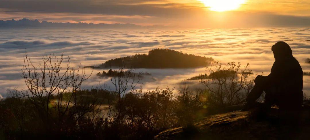 读懂了《骆驼祥子》，你就明白了人性的3个真相-骆驼祥子的深层感悟和启示