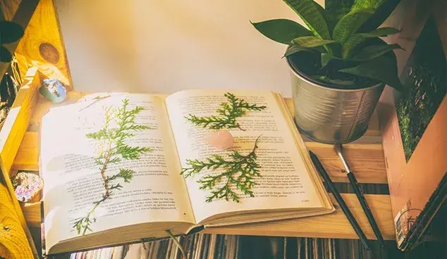 《平凡的世界》最经典10句话，藏着路遥一生的智慧！-路遥平凡的世界经典段落