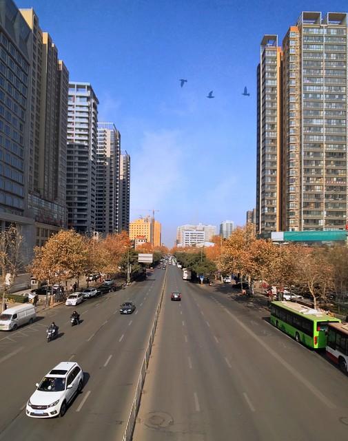 《平凡的世界》:一个展示普通人生活与命运的长篇小说-名著《平凡的世界》读书笔记摘抄大全