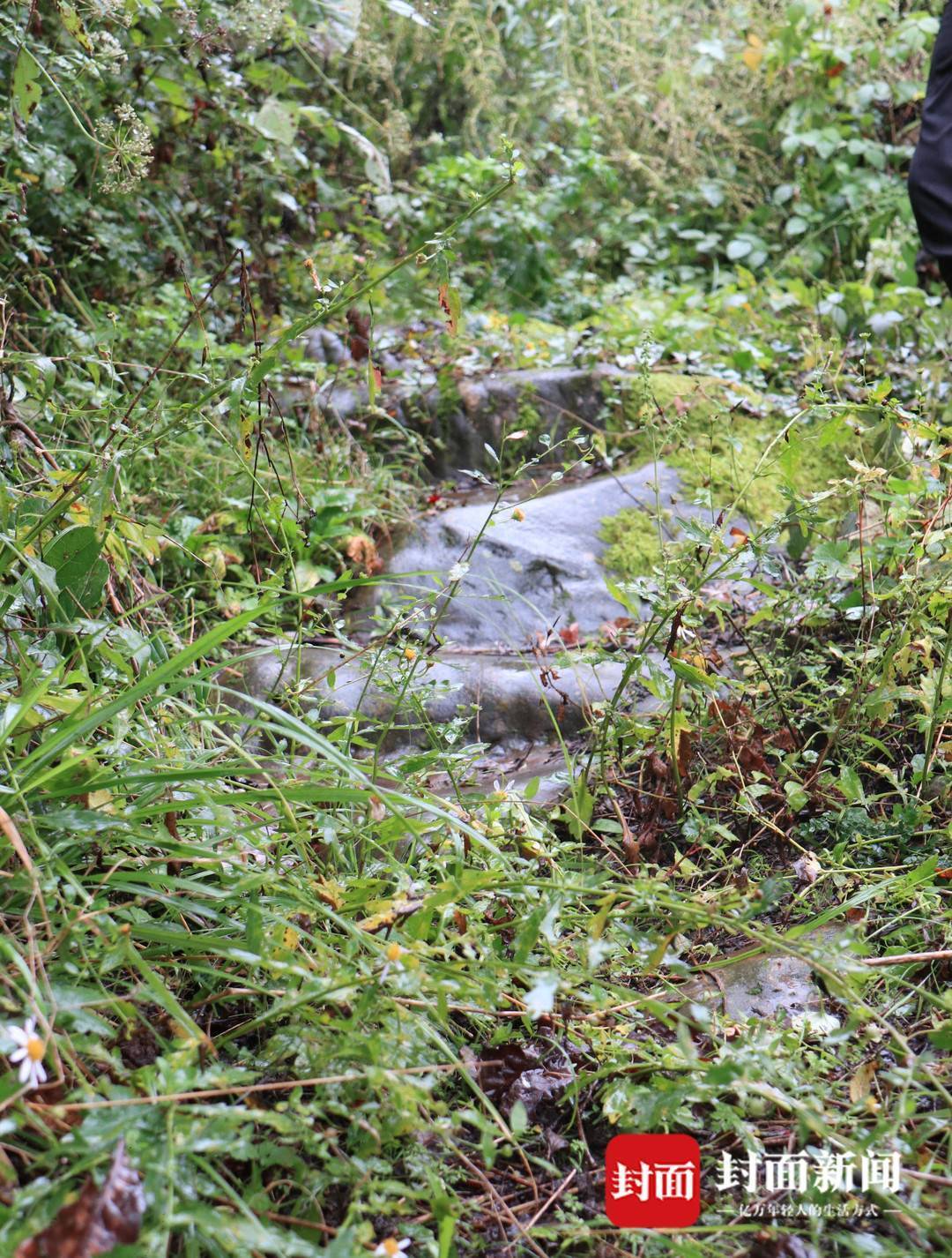 青泥何盘盘 走进《蜀道难》中百步九折的青泥岭｜寻路蜀道-青泥何盘盘的翻译