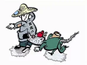 趣解诗经 03期丨《硕鼠》-诗经中硕鼠的意思