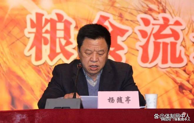 这些粮食硕鼠有多疯狂，靠粮吃粮真可恨！-吃粮食的老鼠