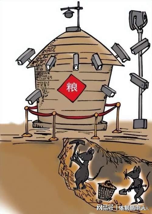 这些粮食硕鼠有多疯狂，靠粮吃粮真可恨！-吃粮食的老鼠