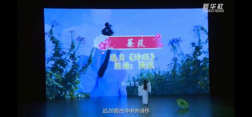 隋源唱诵《蒹葭》惊艳新华视点