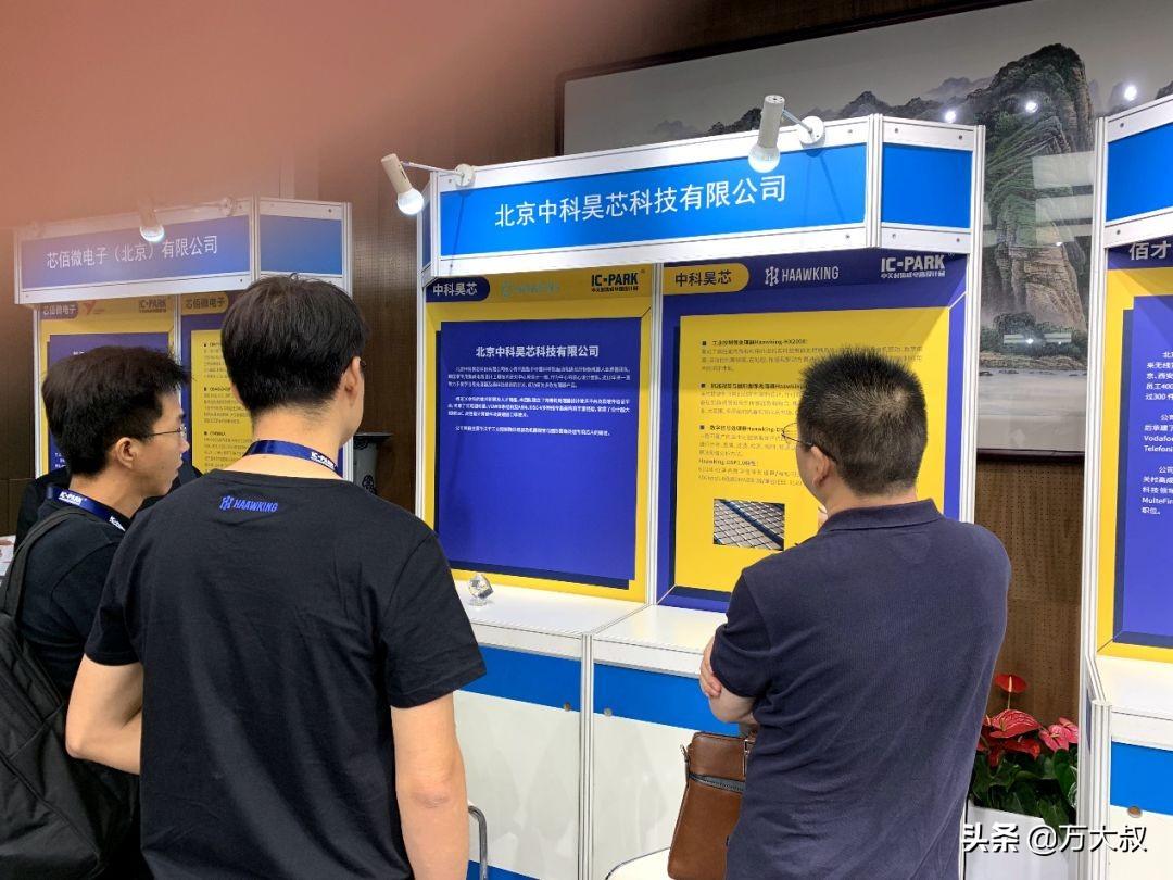 全球首款RISC-V DSP芯片问世，中国制造并量产，国产芯片取得突破-生产dsp芯片的上市公司