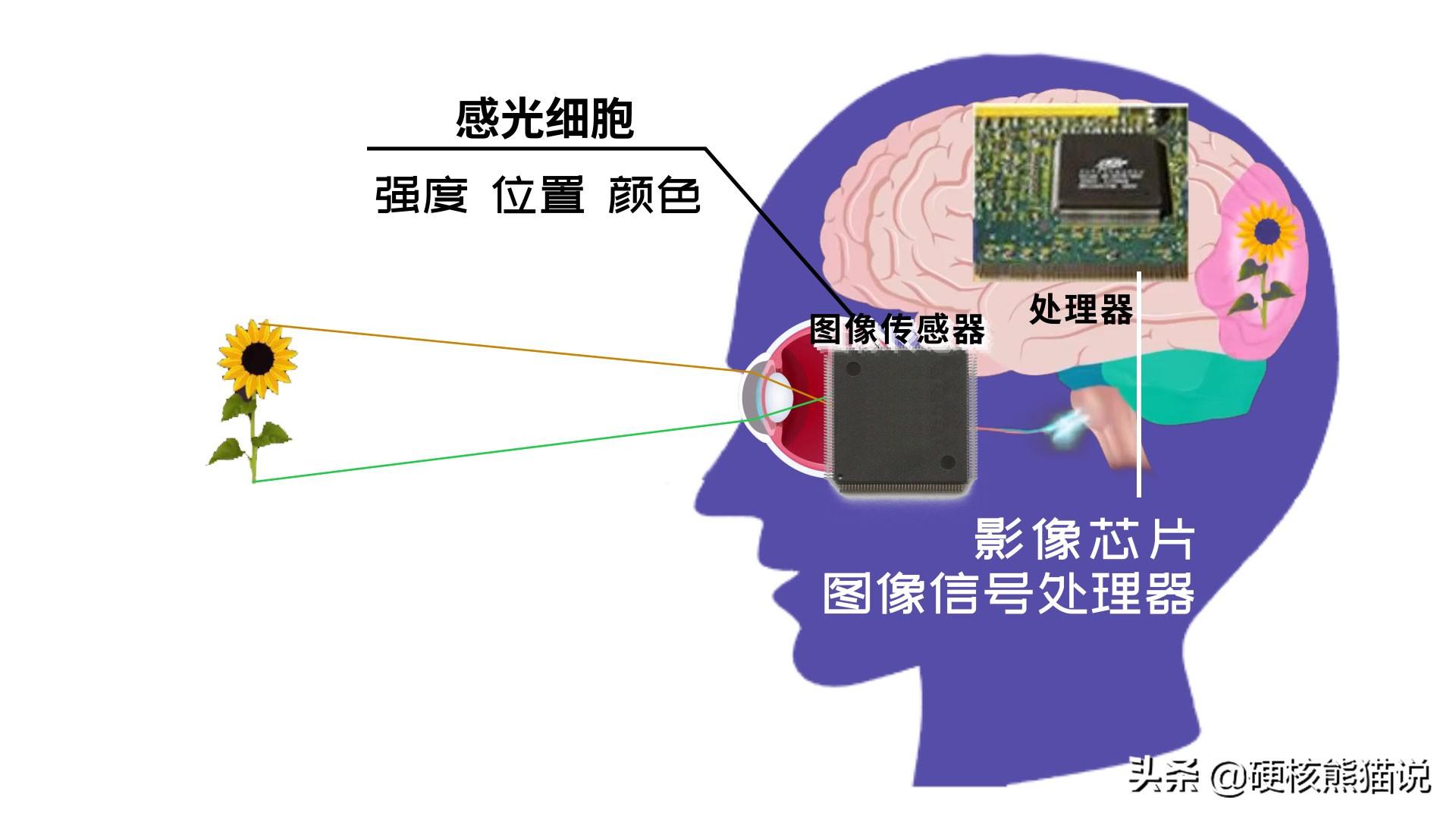 中国医学设备崛起：影像芯片突破垄断，国产化替代还远吗？-医学影像设备公司排名