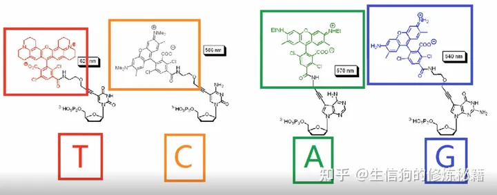 高通量测序原理（一）Sanger测序原理-高通量测序过程