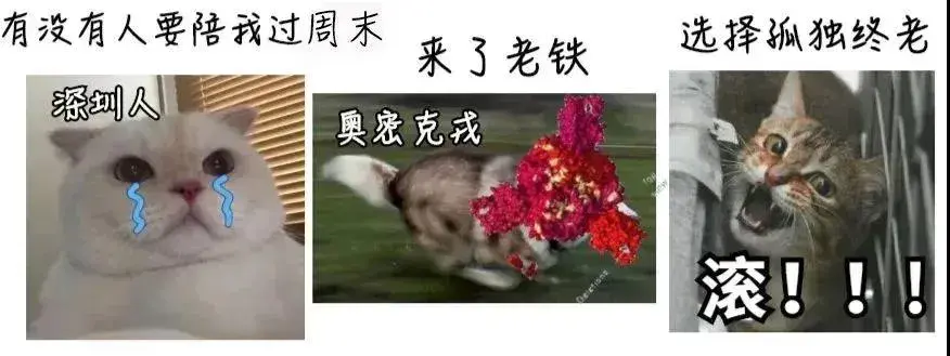 新年干货！贴片电感的五个参数解读——杰绅电感-贴片电感有哪四种类型