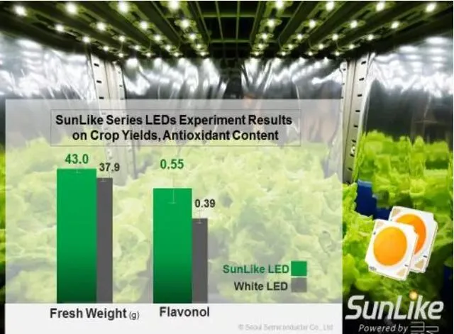 对话首尔半导体：疫情下照明产业的增长来自哪里？-首尔半导体株式会社
