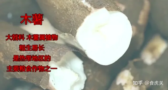 央视曝光：禹州红薯粉条造假！禹州：6家粉条加工企业停产整顿