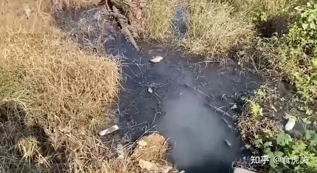 央视曝光：禹州红薯粉条造假！禹州：6家粉条加工企业停产整顿