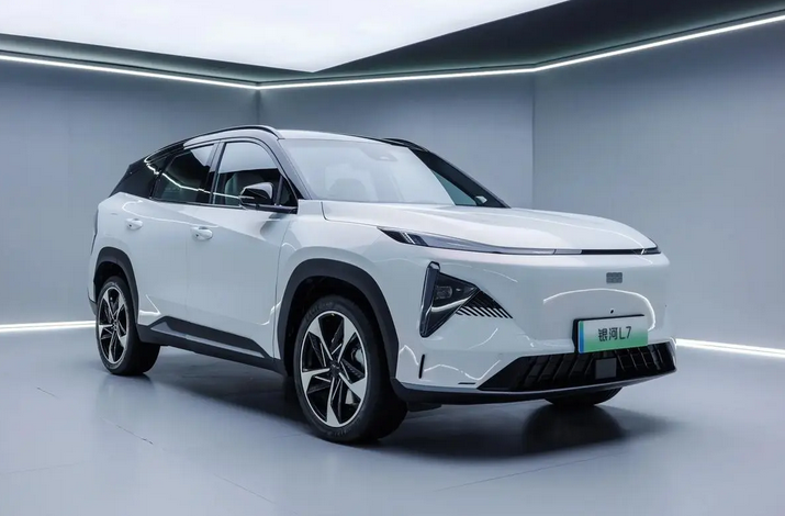 假期购车指南：理想/吉利/特斯拉打价格战，银河L6跌破10万